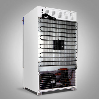 Da procura de oxigênio biológica da incubadora das bactérias incubadora automática refrigerando termostática