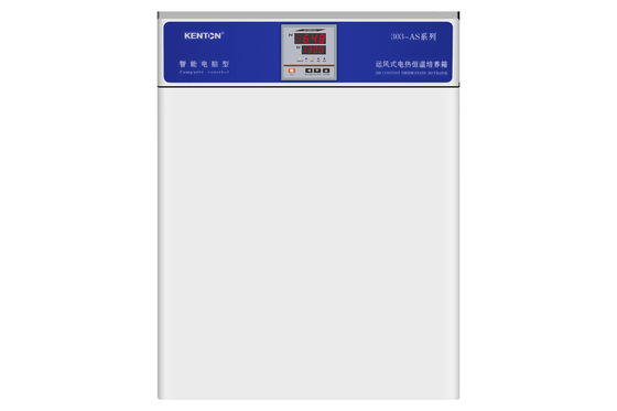 Incubadora termostática da cultura do tecido das bactérias da incubadora 220V do OEM