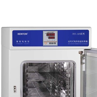 Máquina termostática automática da incubadora da microbiologia da incubadora para o laboratório