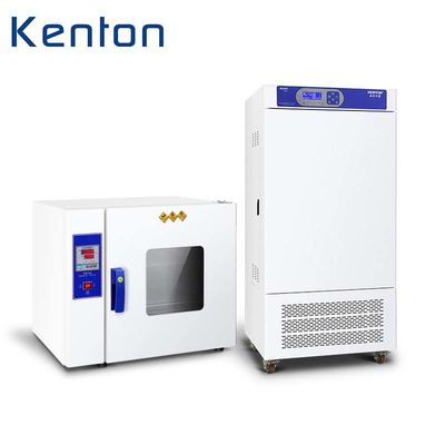 Forno de secagem elétrico industrial de cura de alta temperatura personalizado de Oven Hot Air Circulating Laboratory